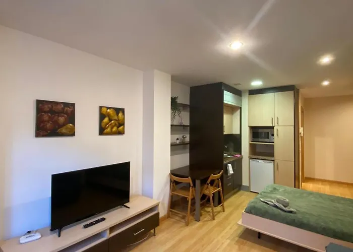 Estudio Centrico D3 Oviedo